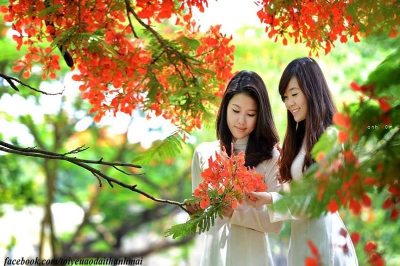 Hoa Phuong & Girls